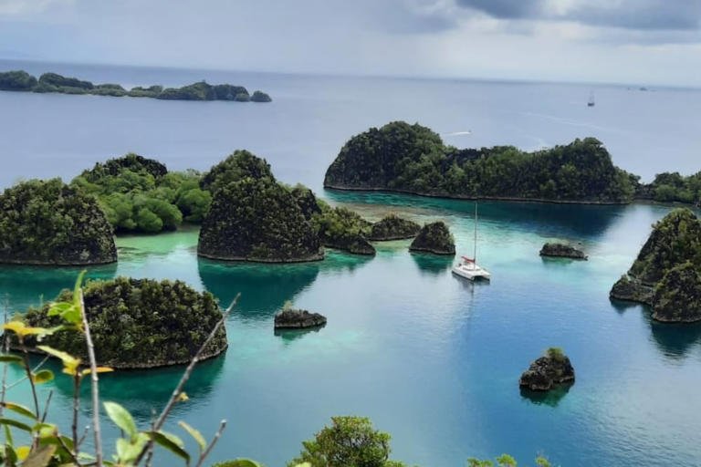 Tambang Nikel di Raja Ampat Bukan Kontributor Utama Ekonomi Papua Barat Daya
