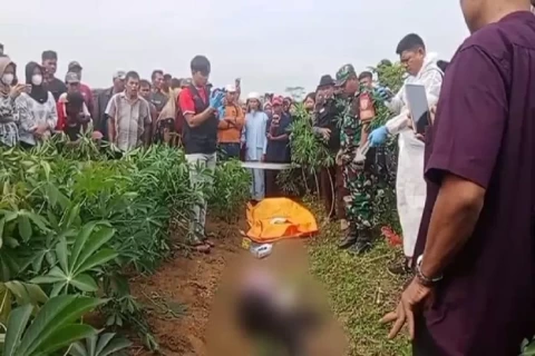 Wanita Hamil Ditemukan Tewas di Kebun Singkong Tulang Bawang