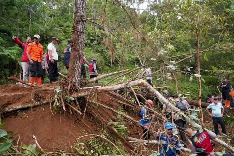 Tebing Longsor di Tasikmalaya Timpa 4 Petani
